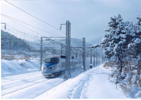  ’KTX’ 정읍~백양사간 운행모습(겨울)