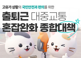 대중교통활성화 방안